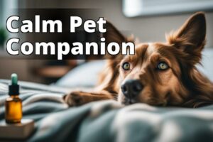 Cannabidiol For Pet Behavior: Understanding The Benefits And Risks For Your Furry Friend