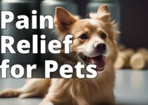 Cbd For Pet Pain: The Ultimate Guide To Relief