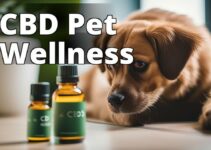 Boost Your Pet’S Immune System With Cannabidiol: A Complete Guide